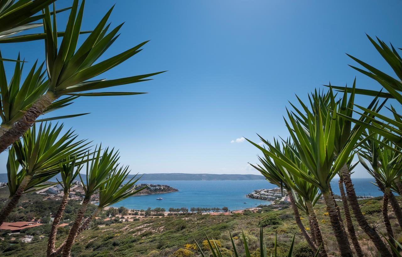 Sounio Villa 수니언 외부 사진